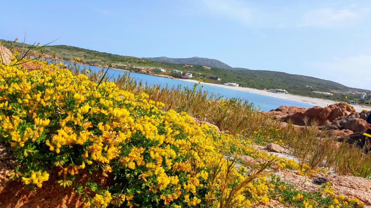 Casa Vacanza Costa Rossa Vista Mare Trinità dʼAgultu Exterior foto